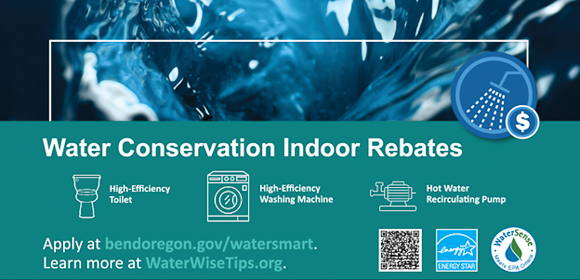 A graphic of ideas about how to conserve water