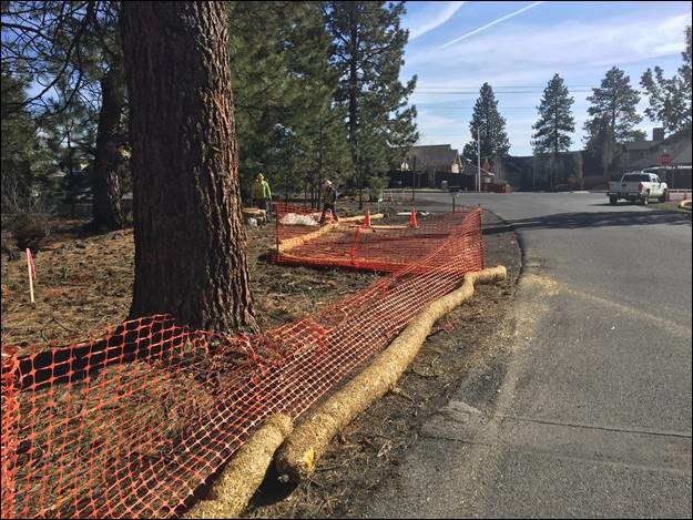 A photo of straw wattle laid along the edge of the construction limits.