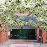 Trees in bloom outside of City Hall.