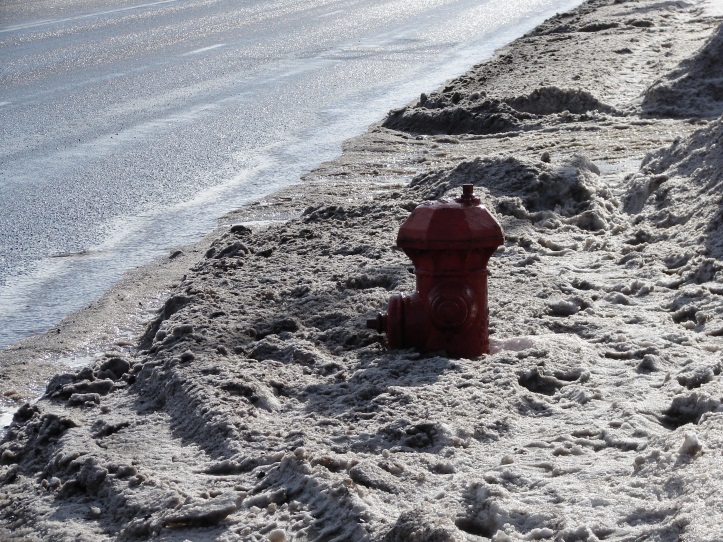 Clear Snow Hydrant PSA