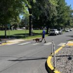 Man with dog on leash in crosswalk