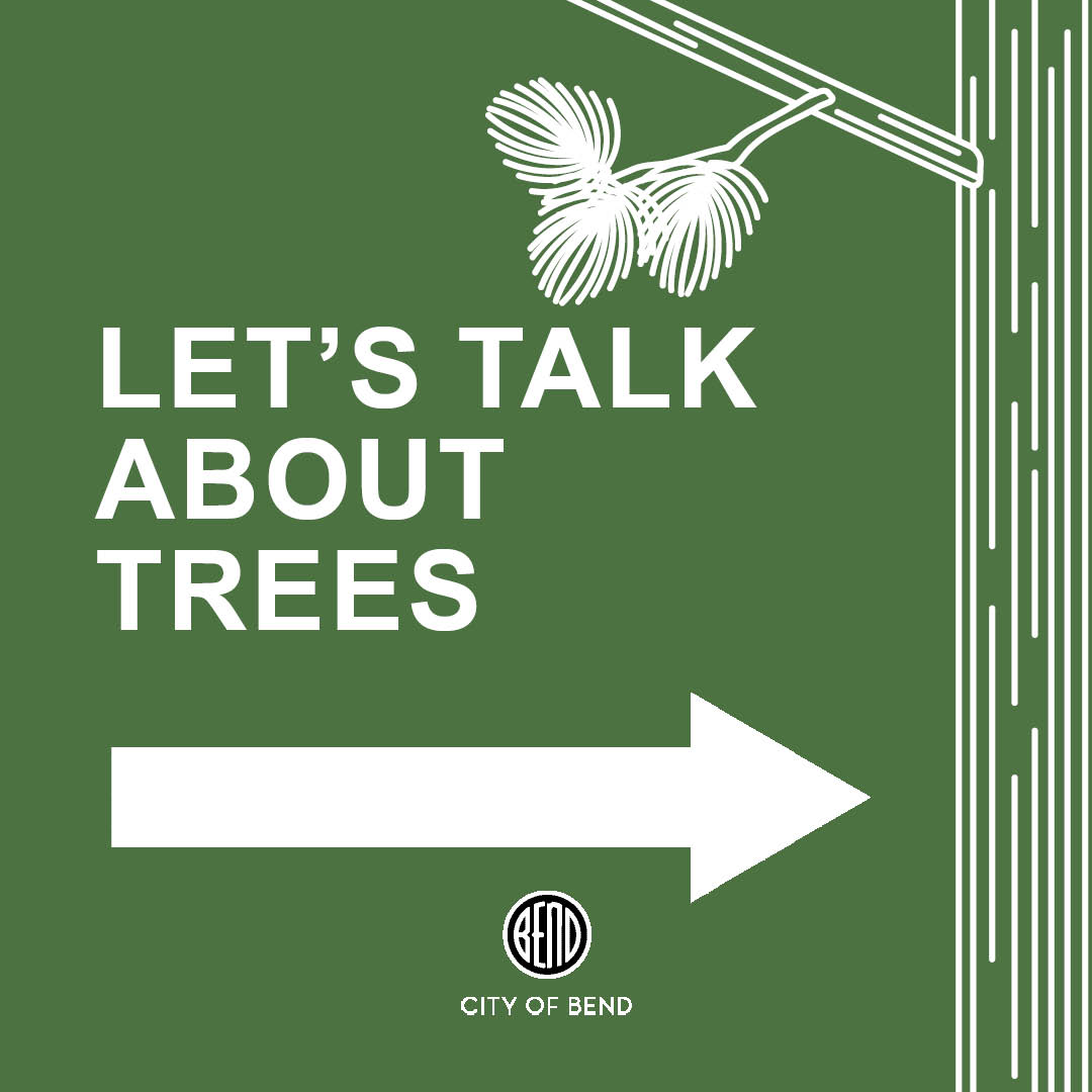 Graphic that says "Let's talk about trees"