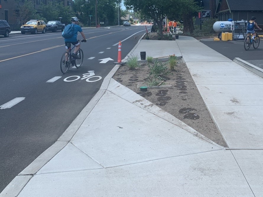 A photo of the storm water planters and green buffers installed with native plants that improve water filtration and improve infiltration into the soil.