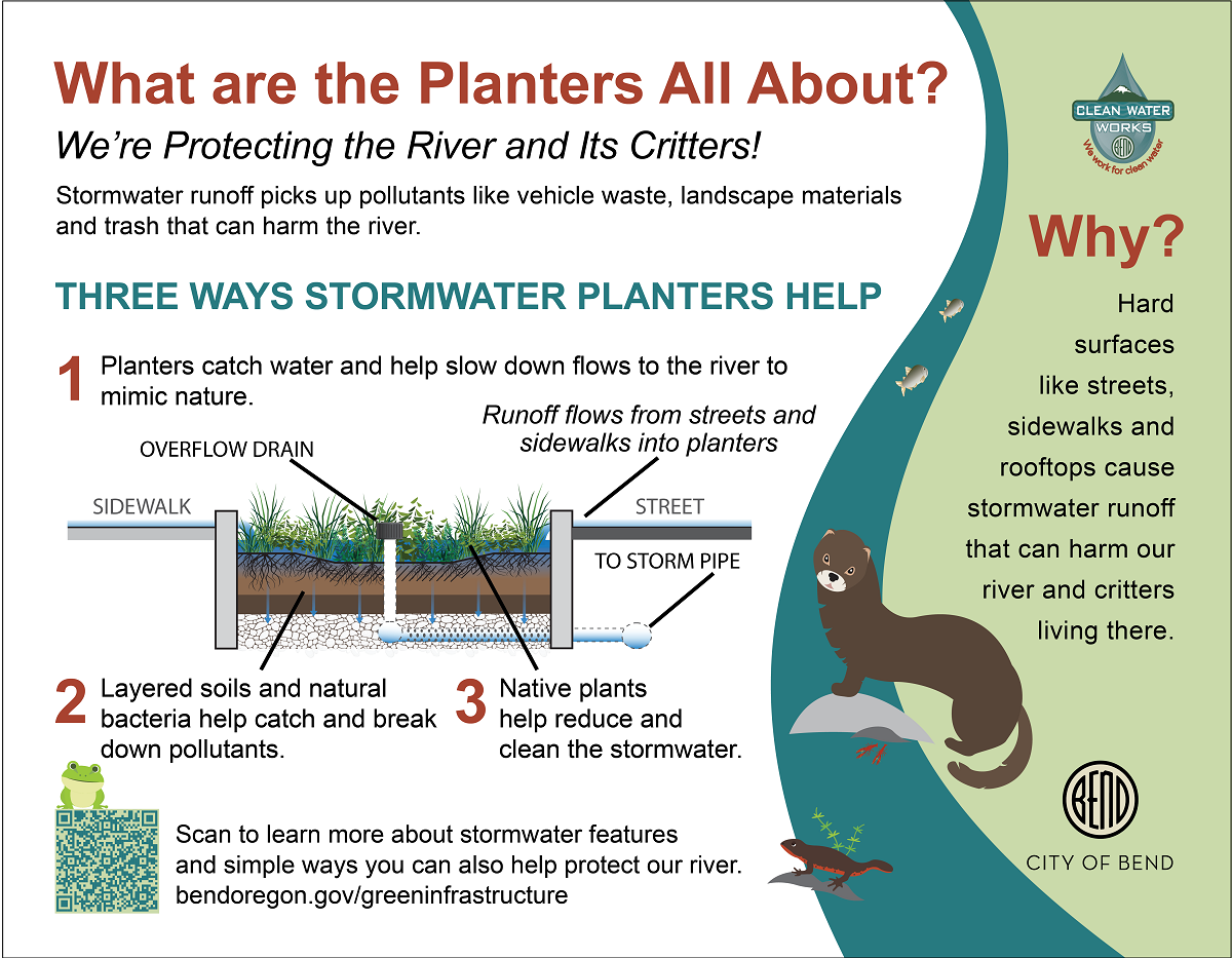 The new Green Infrastructure planters along newport and nashville help protect the Deschutes River from stormwater pollution 