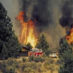 Skeleton-Fire-Image-Flames-and-Fire-Trucks