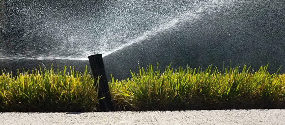 A sprinkler in a yard.