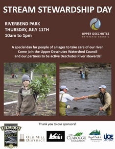 2013 Stream Stewardship Day Poster
