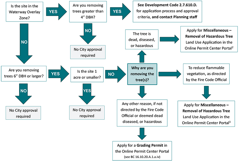 Flowchart showing requirements for tree removal.