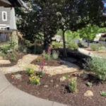 Turf Replacement Project