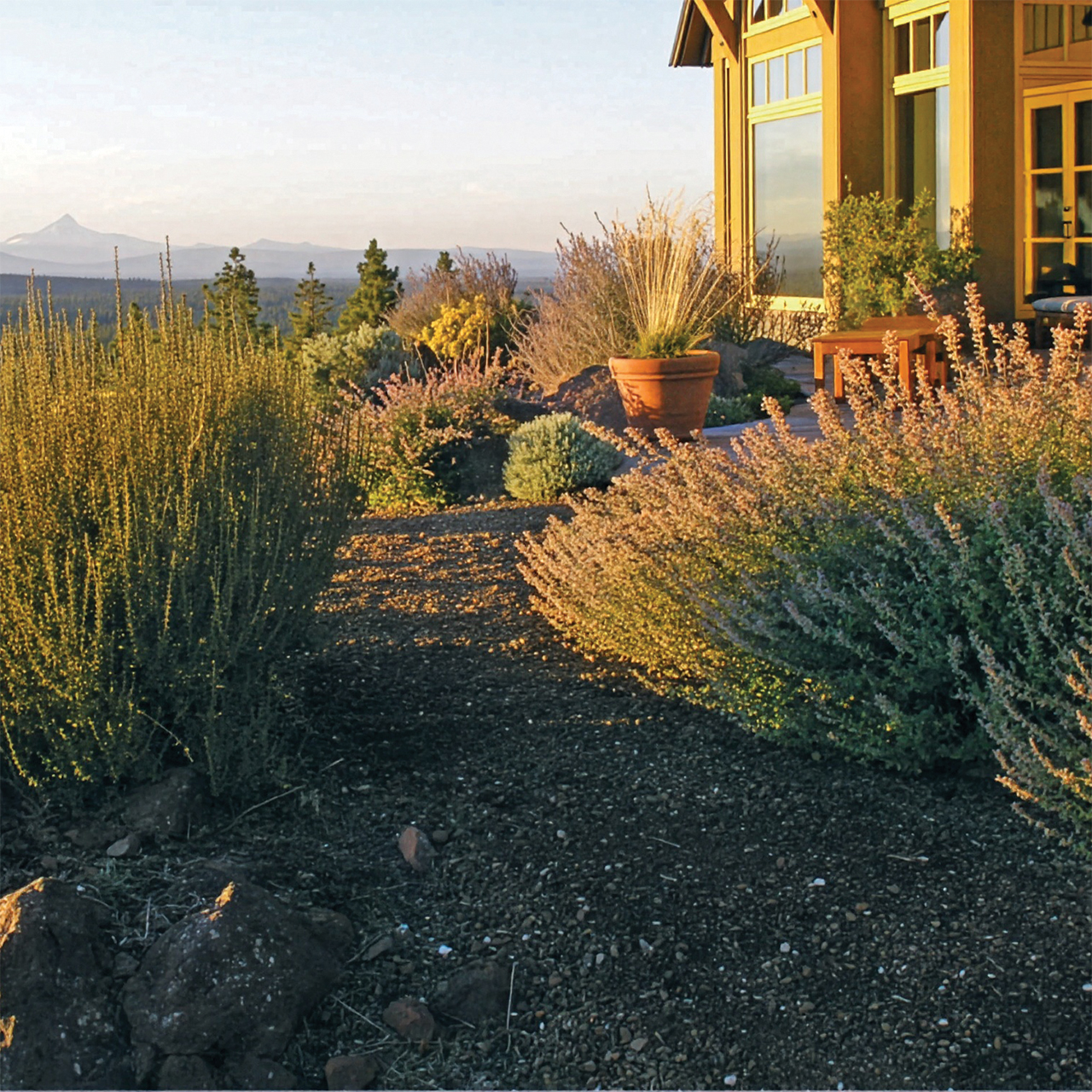 WaterWise garden in Bend.