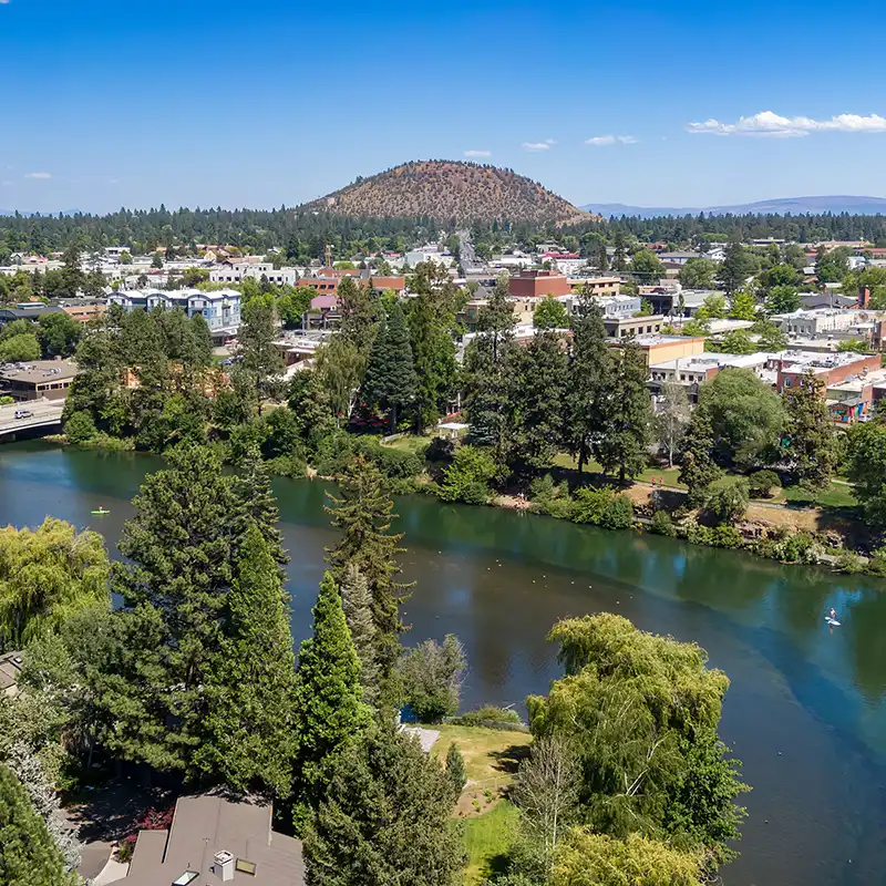 about-content-section