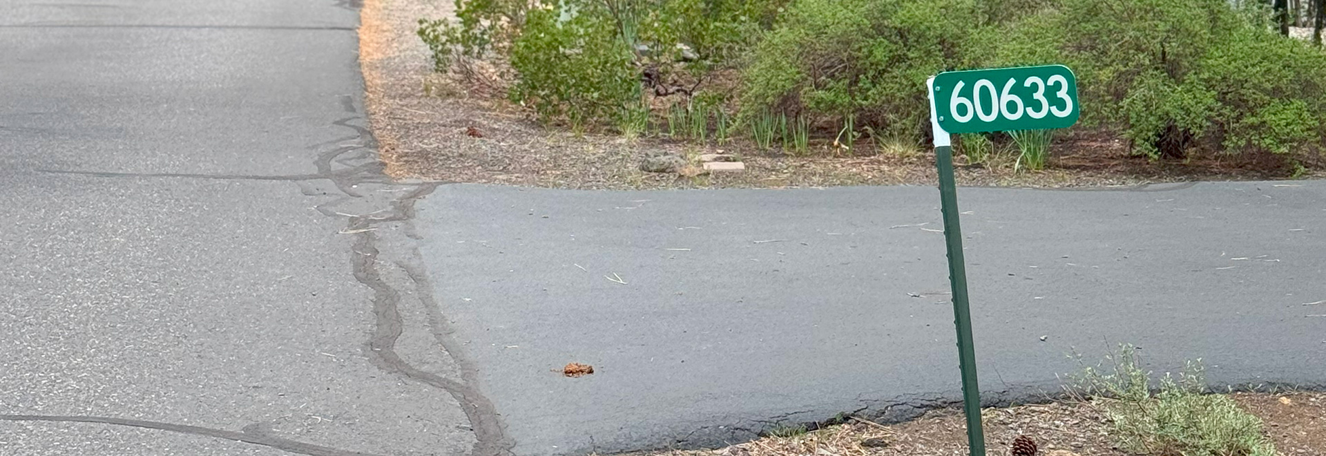 Street with a driveway with a green reflective sign with white numbers on it showing a house address.