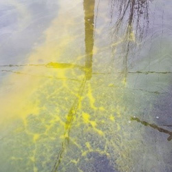 Anti-freeze in a water puddle.