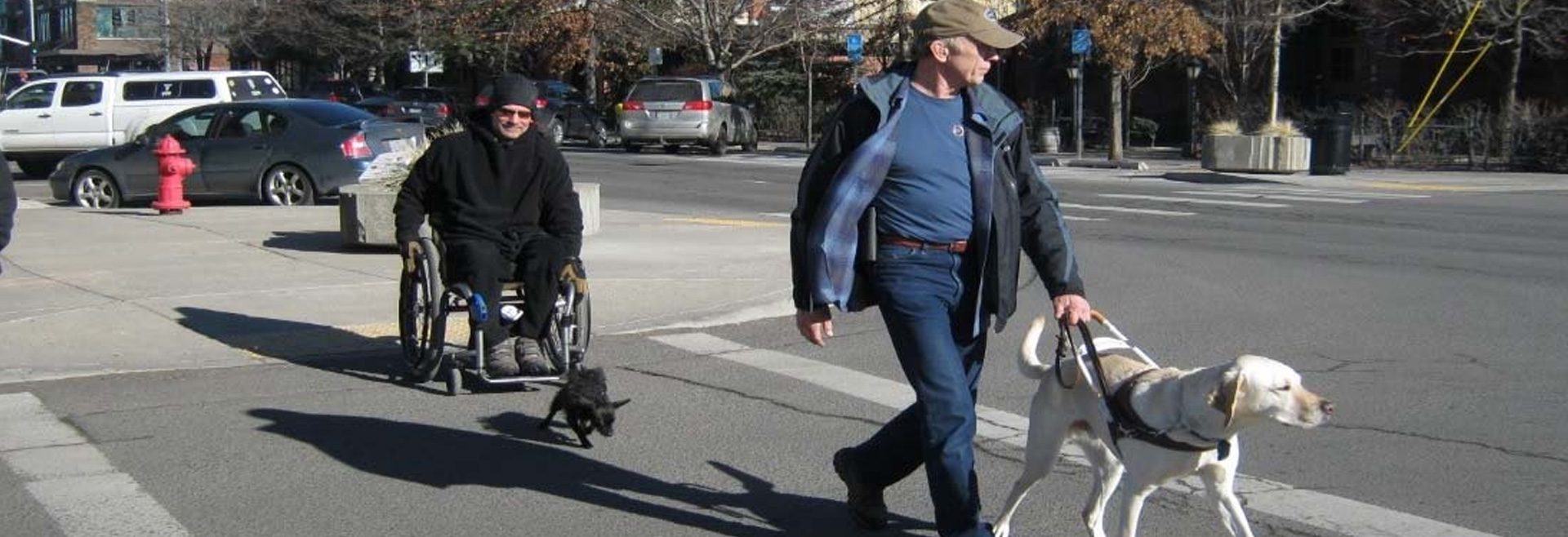 Two men, one using a wheelchair and walking a small dog the other using a service animal, walking in crosswalk.