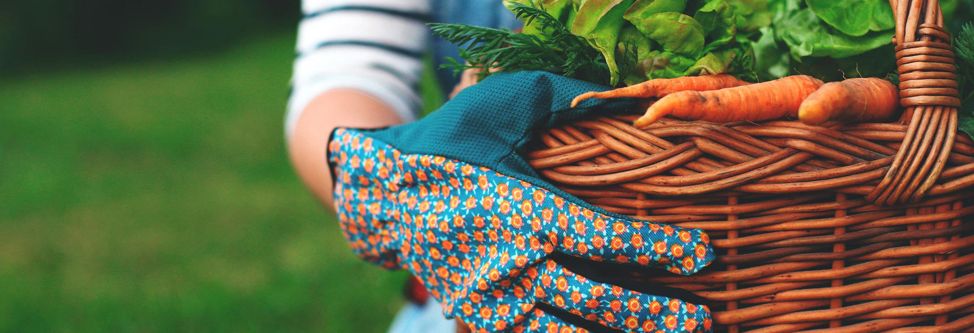 Person holding a basket of fresh vegetables.
