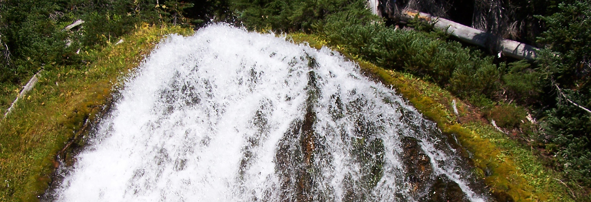 Waterfall cascading down a mossy slope. Pine trees in the background.