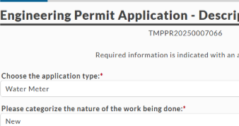 Permit Application screen from CityView.