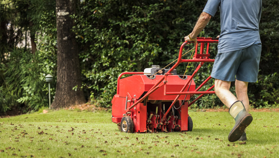 Red lawn aerator being used by a person wearing blue shorts.