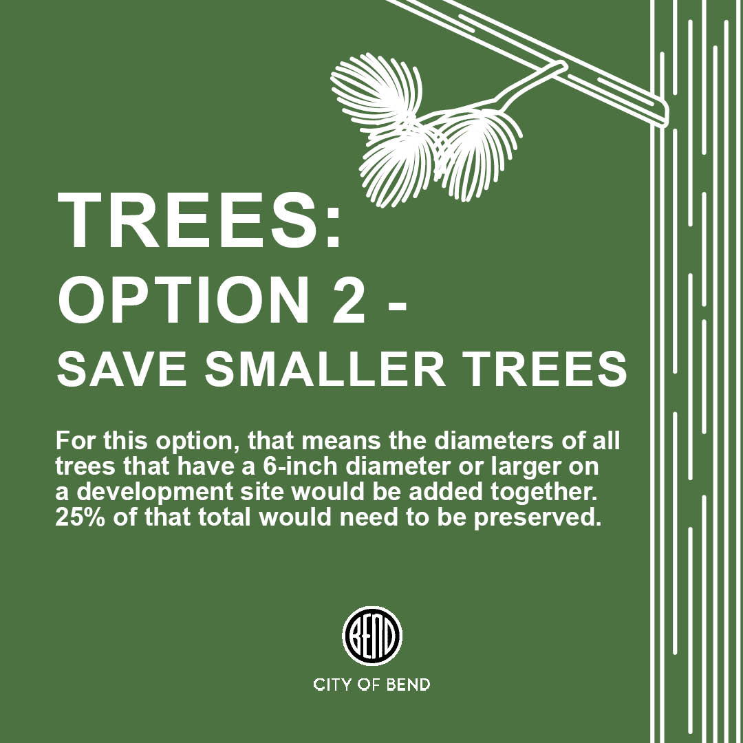 graphic that says option 2 save smaller trees