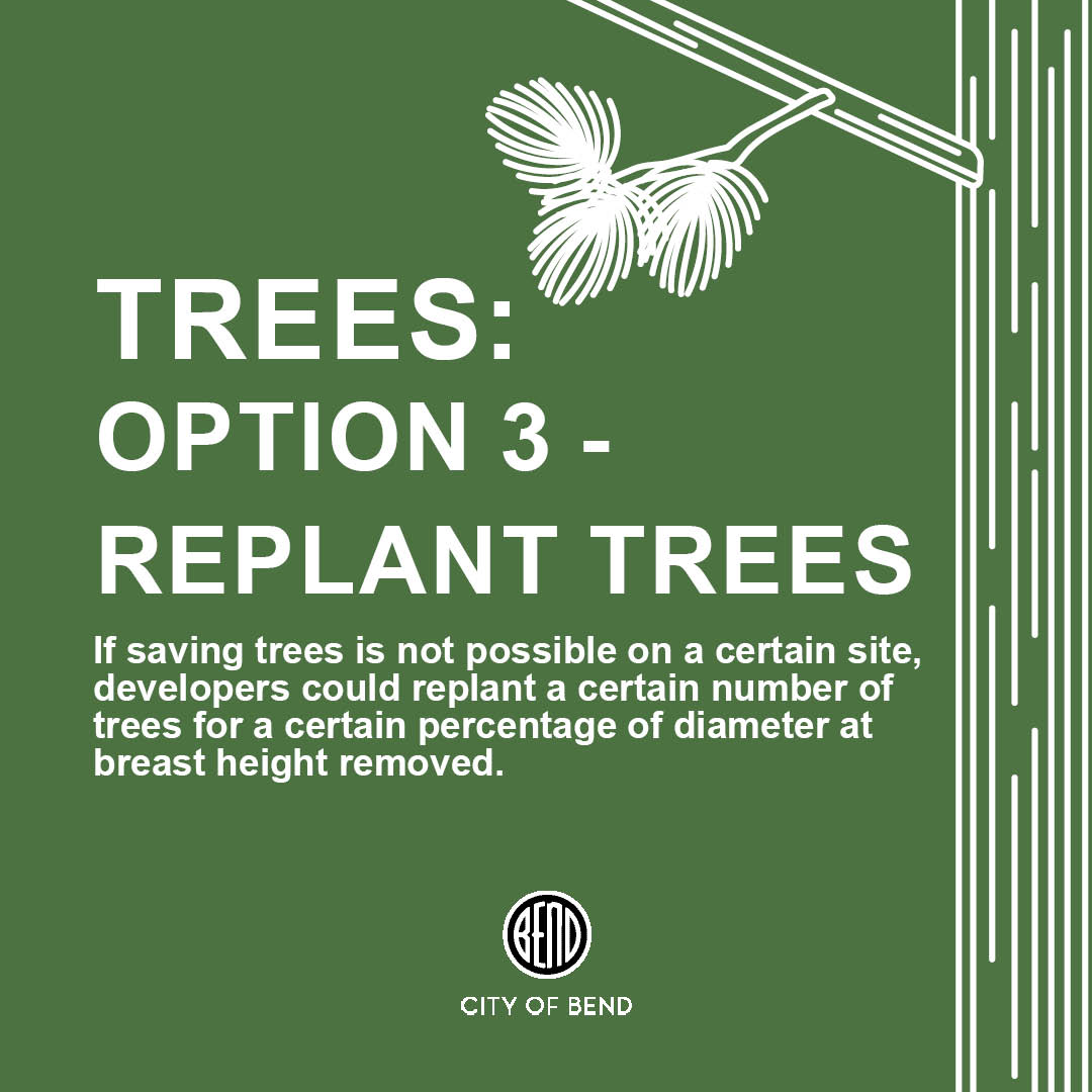 option 3 replant trees