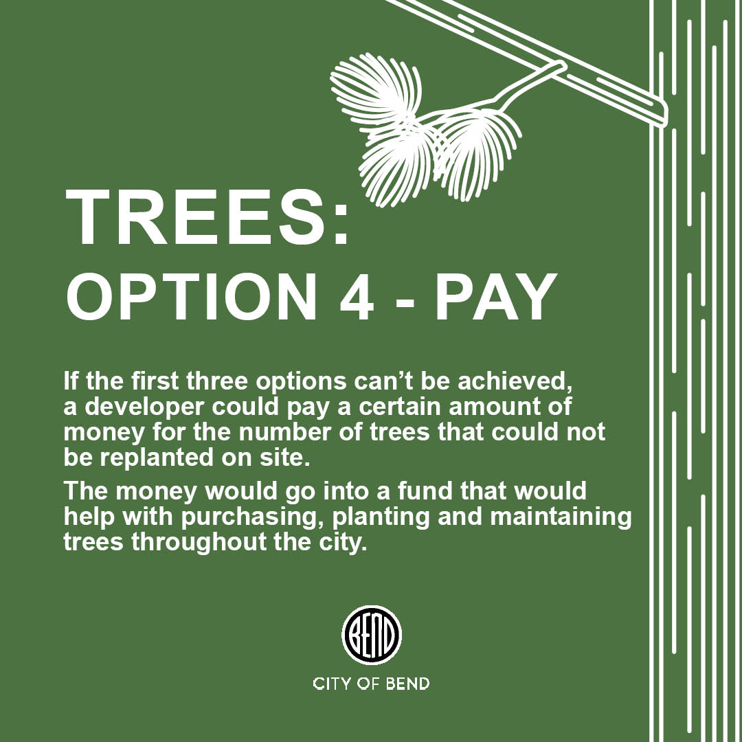 option 4 pay for an amount of trees that could not be preserved