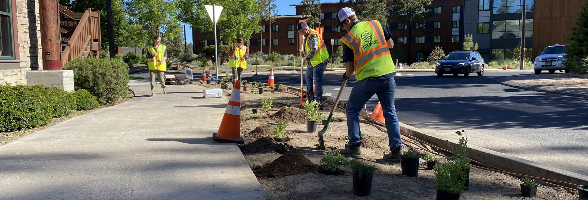 City workers wearing yellow safety vests and blue jeans, digging with shovels in a landscaping strip with plants ready to be planted.