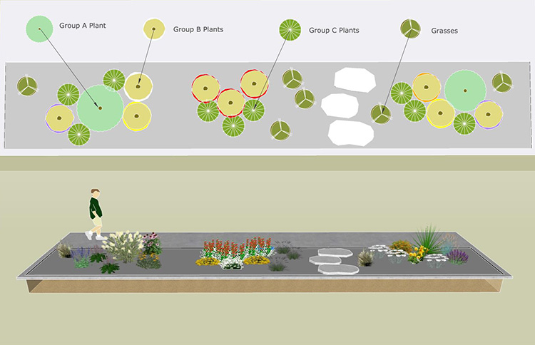 Graphic showing how to layout plants in a pollinator parkway.