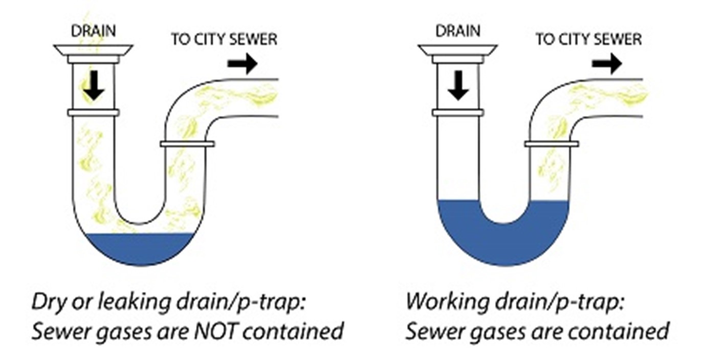 ptrap that is dry does not retain gases, but a working ptrap with water barrier, sewer gases are contained - see text below