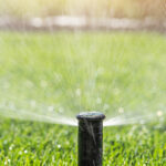 Sprinkler head spraying water on a green lawn.