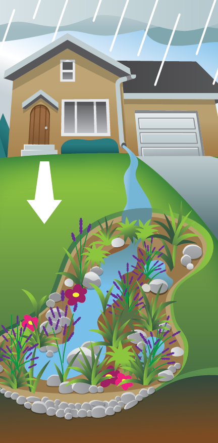 rain water draining from house roof into swale