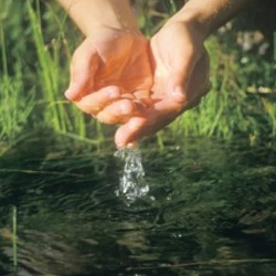 Hands cupped holding water falling into a pond.