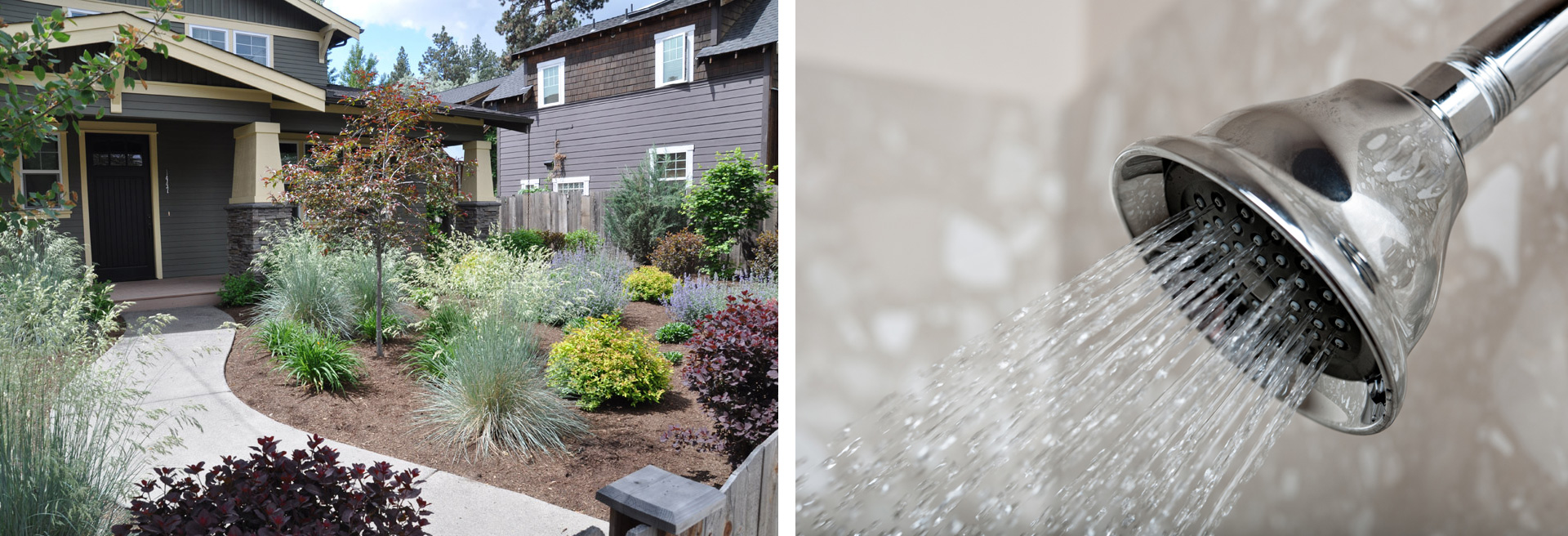 Collage with home zeriscaped to the left, water efficeint shower head to the right.