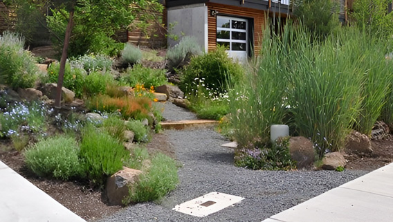 Xeriscaped property with gravel, mulch, and low water green colored plants.
