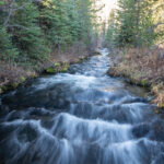 A stream runs over rocks as it flows toward the camera, with forest on both sides of the water.