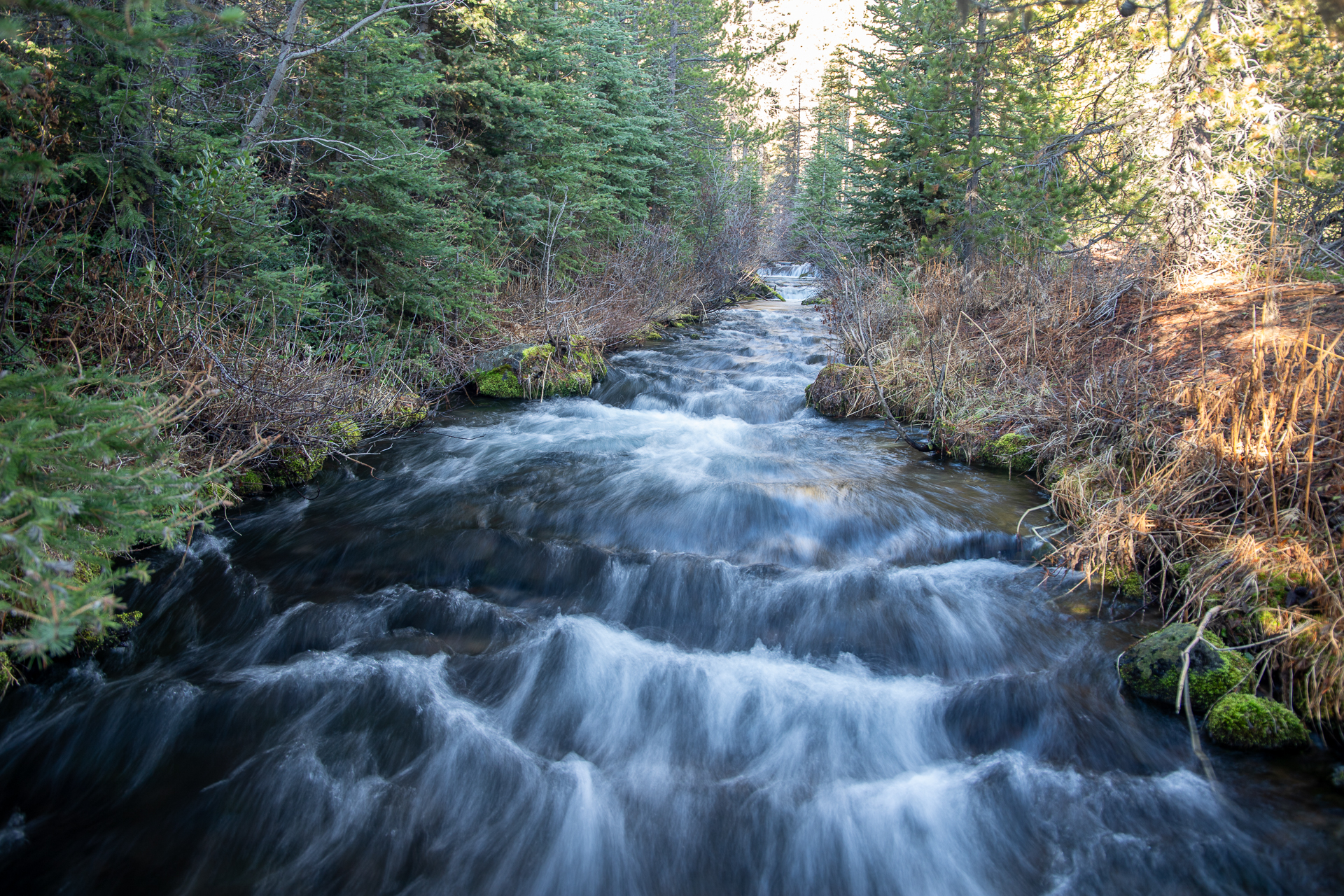 A stream runs over rocks as it flows toward the camera, with forest on both sides of the water.