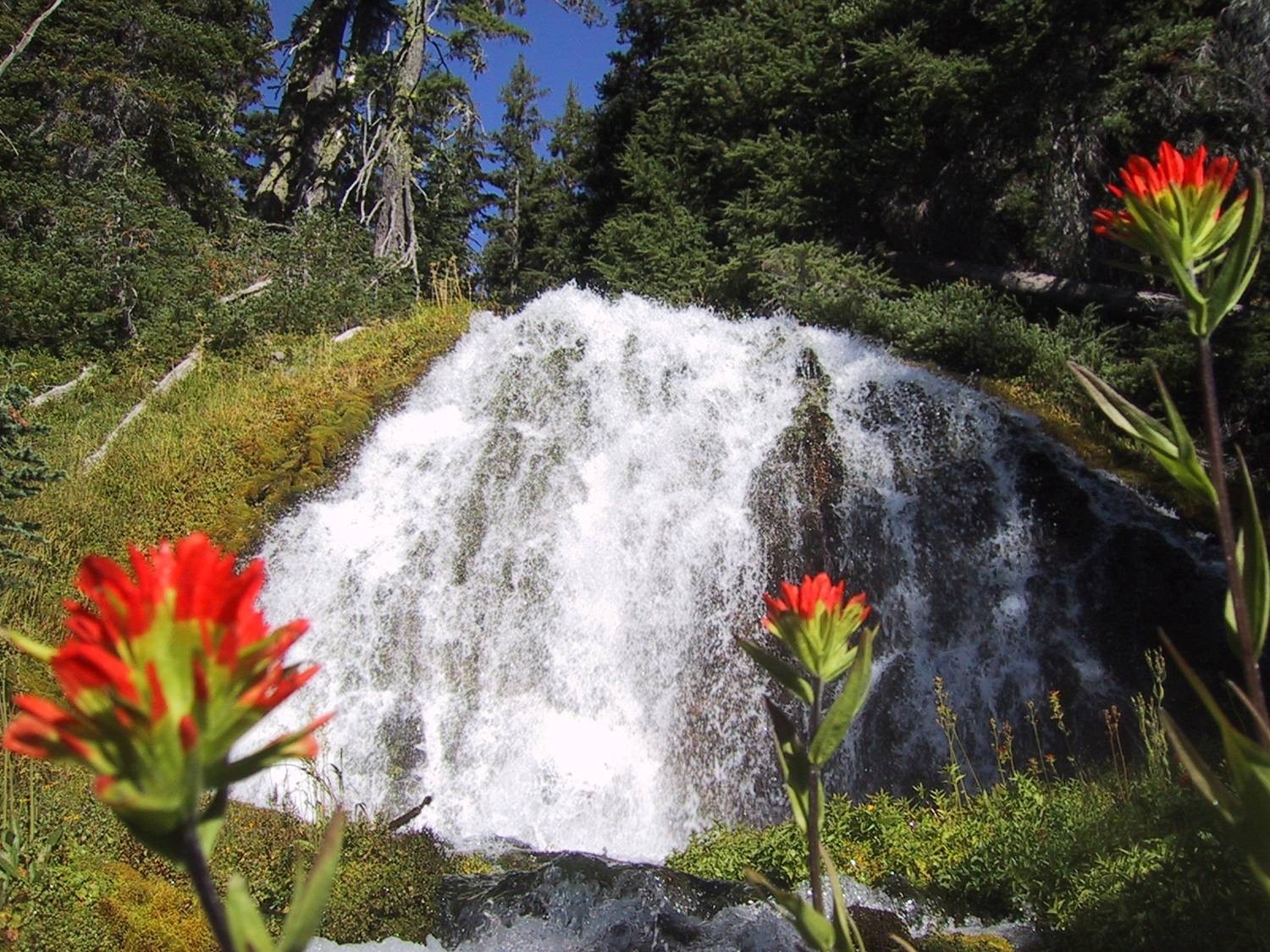 A bright mountain spring cascades over rocks, framed by lush greenery and vivid red wildflowers in the foreground.