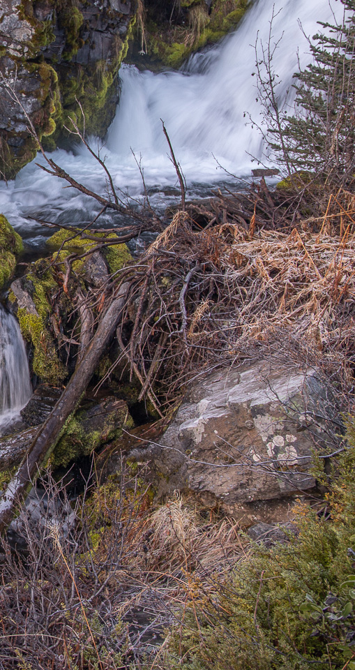 Waterfall on a creek in the woods.