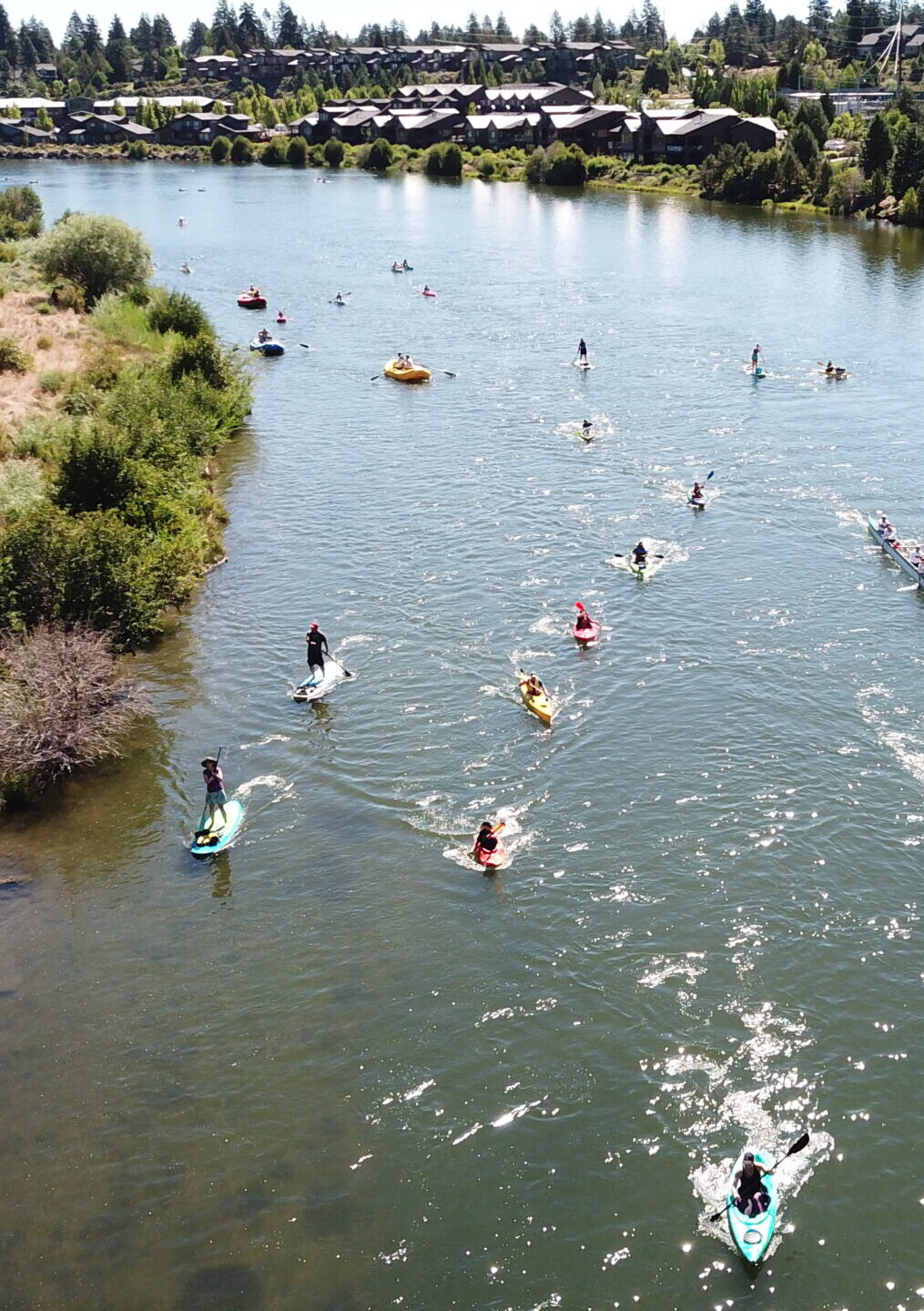 Paddleboarders and others on a river from above
