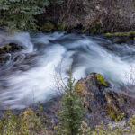 Whitewater on a creek in the woods.