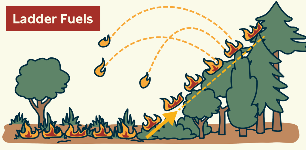 Embers flying into green trees drawn in a cartoon style.