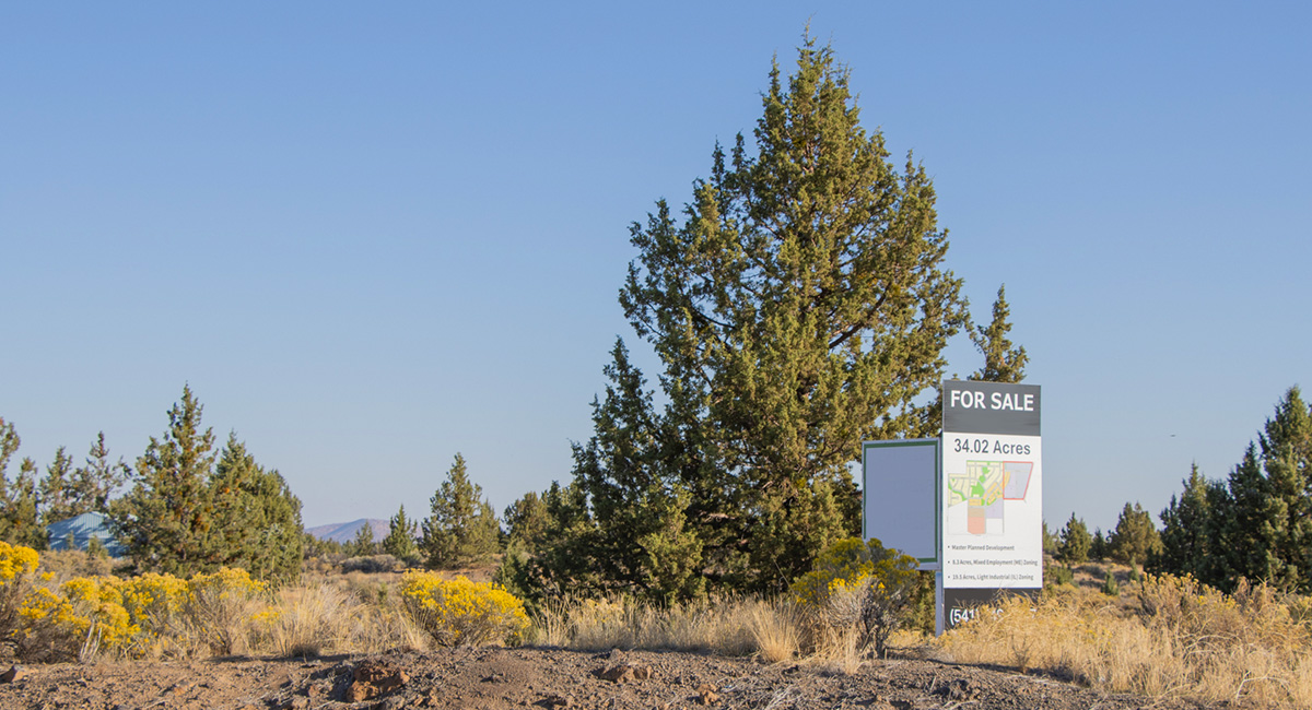 Terreno baldío cubierto de enebros y artemisa. Cartel que indica que el terreno está en venta.