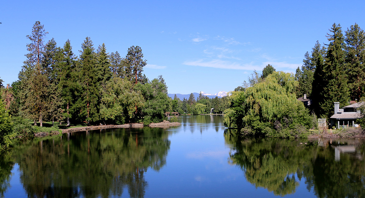Clear pond surrounded by green trees and a blue sky.