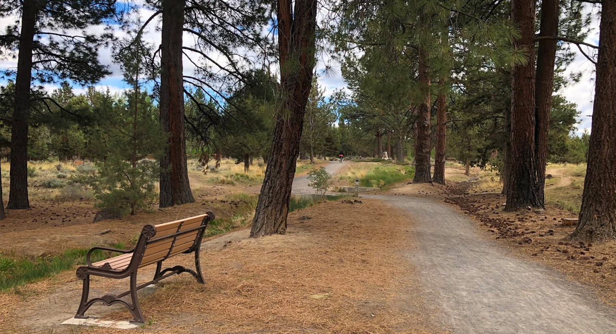 Wooden area with a gravel path running through the trees. A bench sits in the foreground.