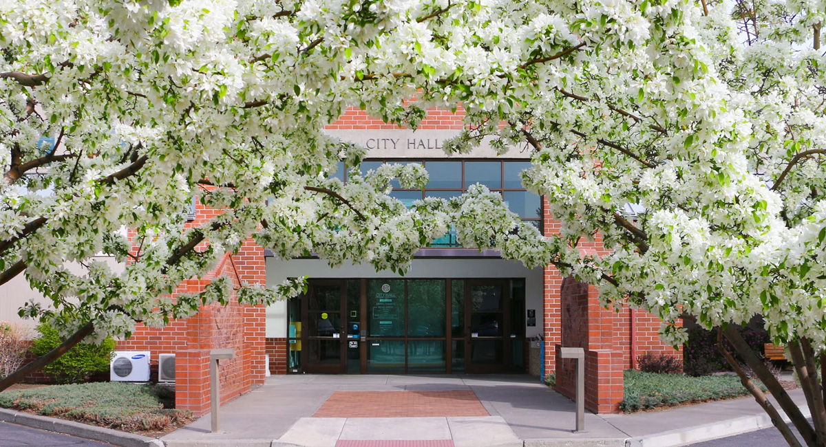 City Hall in spring with flowering trees in full bloom.