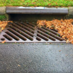Fall leaves covering a storm drain.
